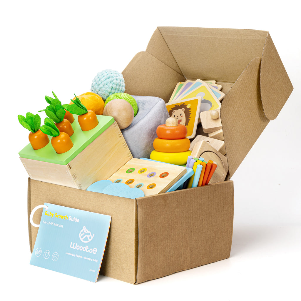 Woodtoe Montessori Toys for 1+ Year Old, Wooden Baby Learning Toys, Object Permanence Box, Color Sorting Sensory Toy, Toddler Fine Motor Skills Game, Educational Birthday Gifts for Boy Girl Growth