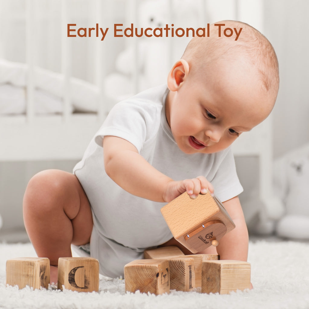 Woodtoe Montessori Coin Box for Kids, Montessori Toys for 1 Year Old,